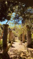 Capri - ein Blick in einen privaten Garten.jpeg &ndash; &copy; Kerstin Engelhardt (Eberhardt TRAVEL)