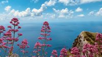 Anacapri - Monte Solaro.jpeg &ndash; &copy; Kerstin Engelhardt (Eberhardt TRAVEL)
