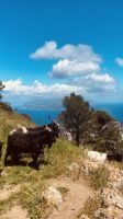 Anacapri - Spaziergang am Monte Solaro.jpeg &ndash; &copy; Kerstin Engelhardt (Eberhardt TRAVEL)