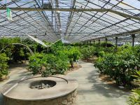 Hesperidarium &ndash; &copy; Monika Cortese (Eberhardt TRAVEL)