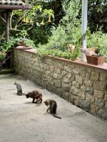 &copy; Anne Schröder (Eberhardt TRAVEL)