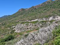 Fahrt entlang der Westküste von Alghero nach Bosa... &ndash; &copy; Katrin Deutschbein (Eberhardt TRAVEL)