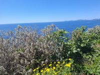 Fahrt entlang der Westküste von Alghero nach Bosa... (Macchia mediterranea) &ndash; &copy; Katrin Deutschbein (Eberhardt TRAVEL)