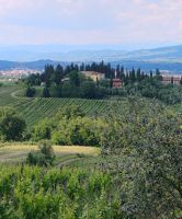 Ausblick vom Weingut  &ndash; &copy; Monika Cortese (Eberhardt TRAVEL)