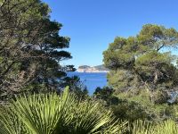 Wanderung zum Punta Giglio: Blick zum Capo Caccia &ndash; &copy; Patrick Fritzsche-Vorwerg (Eberhardt TRAVEL)