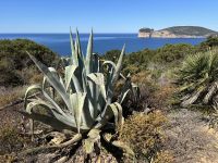 Wanderung zum Punta Giglio &ndash; &copy; Patrick Fritzsche-Vorwerg (Eberhardt TRAVEL)