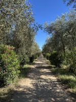 Bio-Weingut Ledà d'Ittiri &ndash; &copy; Patrick Fritzsche-Vorwerg (Eberhardt TRAVEL)
