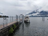 PXL_20260606_120518547.jpg  Wieder Lago Maggiore, das Nordufer bei Locarno. &ndash; &copy; Gerd Pierschek (Eberhardt TRAVEL)