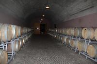 in den Kellergängen der Weinkellerei Brigl
