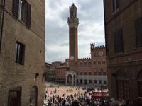 284 Siena