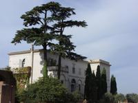 Tag 2 - Besichtigung des Palatinhügels