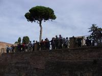 Tag 2 - Besichtigung des Palatinhügels mit Stadtführerin Maria Theresa