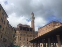 290 Siena