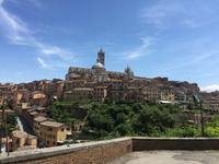 291 Siena