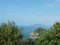 Ausblick vom Punta Manara