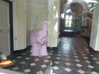 Da gab es sogar rosa Elefanten!