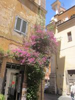 Roma_Impressionen (1)