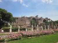 Vatikanische_Gaerten (3)