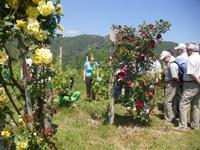 Besichtigung im Weingut Podere al Valloni