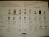 Reisanbau Führung in Desana