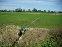 Wasserzufuhr zum Reisfeld