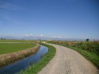 Wasserzufuhr zum Reisfeld