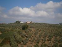 Toskanische Landschaft