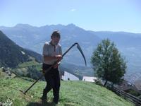 ein Südtiroler bei der Arbeit