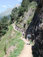 immer im Gänsemarsch gehts voran