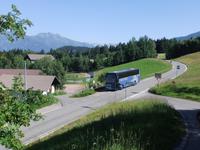 Wandertag 3: auf ins Haflinger Gebiet, immer mit dabei: unser Bus