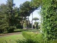 in den Vatikanischen Gärten