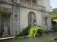 in den Vatikanischen Gärten