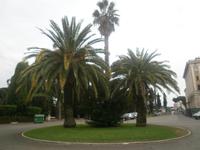 Parkanlage des Hotels