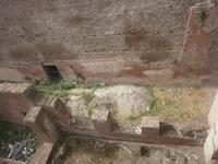 auf dem Palatinhügel