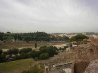 Blick auf den Circus Maximus