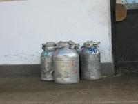 und das wird Käse ?