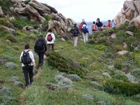 Wandern auf der Halbinsel Capo Testa