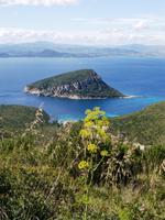 Blick vom Capo Figari