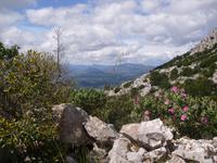 Blick vom Monte Tuttavista auf halber Strecke