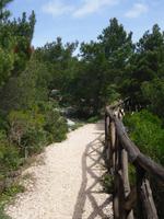 Wanderweg zum Monte Tuttavista