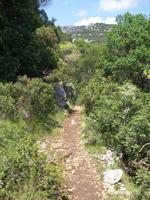 Wanderweg zwischen der Cala Luna und der Cala Fuili