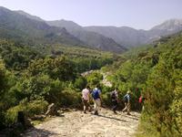 Wir nähern uns dem Ziel mit großen Schritt