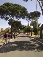 Auf dem Weg zum Teufelsfelsen