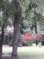 36_Park Sigurta