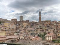 4. Reisetag – Stadtführung durch Siena – Blick über die Altstadt zum Torre del Mangia