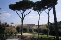 auf dem Palatinhügel...