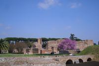 auf dem Palatinhügel...