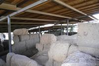 auf dem Palatinhügel...