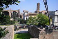 Spaziergang vom Palatinhügel zum Forum Romanum