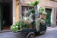 Spaziergang durch die Altstadt...